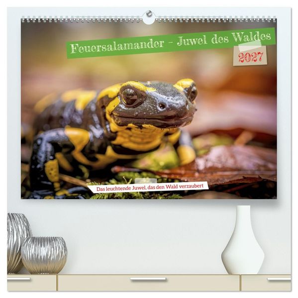 Feuersalamander - Juwel des Waldes (hochwertiger Premium Wandkalender 2027 DIN A2 quer) Kunstdruck in Hochglanz
