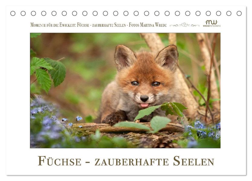 Füchse - zauberhafte Seelen (Tischkalender 2027 DIN A5 quer) CALVENDO Monatskalender