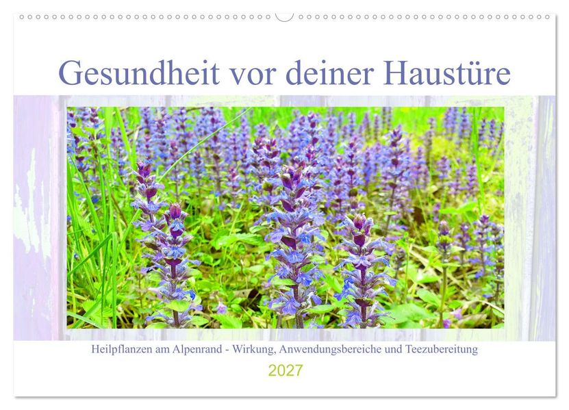 Gesundheit vor deiner Haustüre - Heilpflanzen am Alpenrand - Wirkung Anwendungsbereiche und Teezubereitung (Wandkalender 2027 DIN A2 quer) CALVENDO Monatskalender