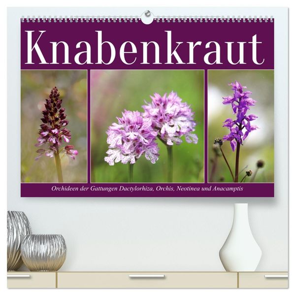 Knabenkraut (hochwertiger Premium Wandkalender 2027 DIN A2 quer) Kunstdruck in Hochglanz