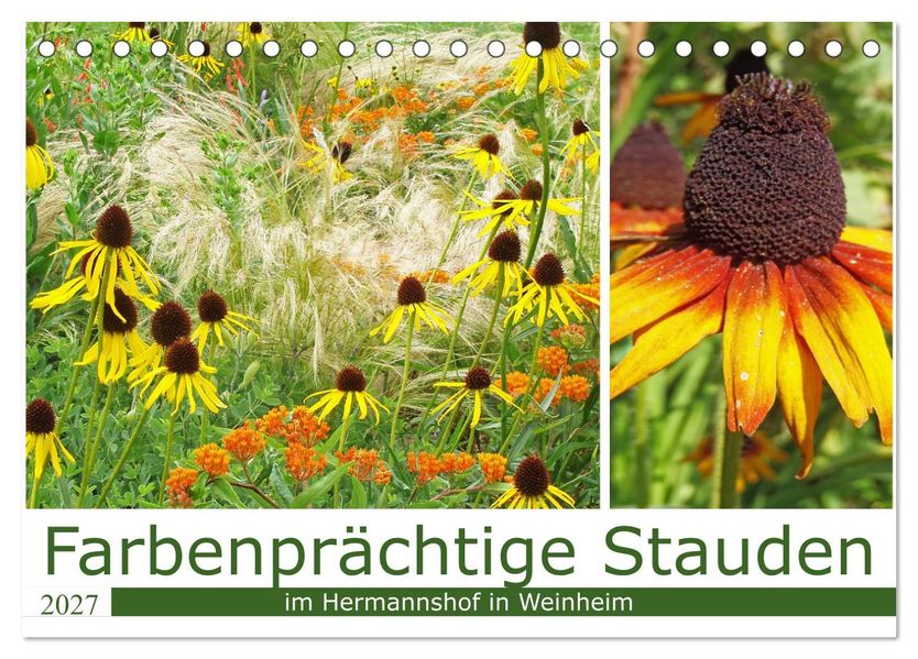 Farbenprächtige Stauden im Hermannshof in Weinheim (Tischkalender 2027 DIN A5 quer) CALVENDO Monatskalender