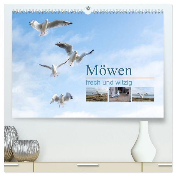 Möwen frech und witzig (hochwertiger Premium Wandkalender 2027 DIN A2 quer) Kunstdruck in Hochglanz