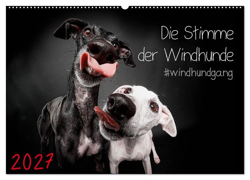 Die Stimme der Windhunde (Wandkalender 2027 DIN A2 quer) CALVENDO Monatskalender
