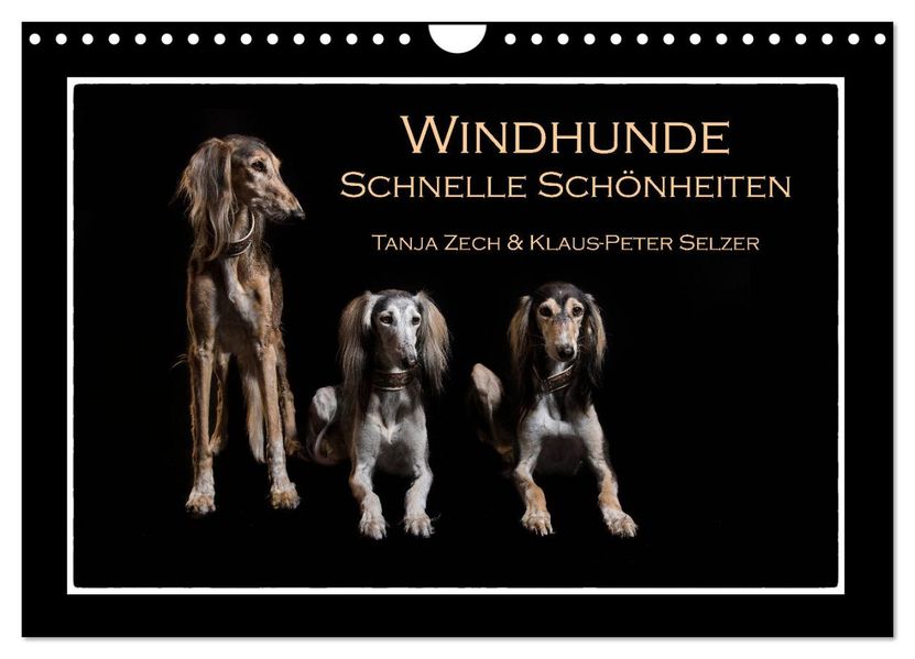 Windhunde - Schnelle Schönheiten (Wandkalender 2027 DIN A4 quer) CALVENDO Monatskalender