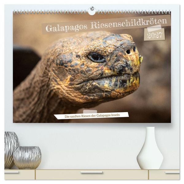 Die Riesenschildkröten der Galapagos Inseln (hochwertiger Premium Wandkalender 2027 DIN A2 quer) Kunstdruck in Hochglanz