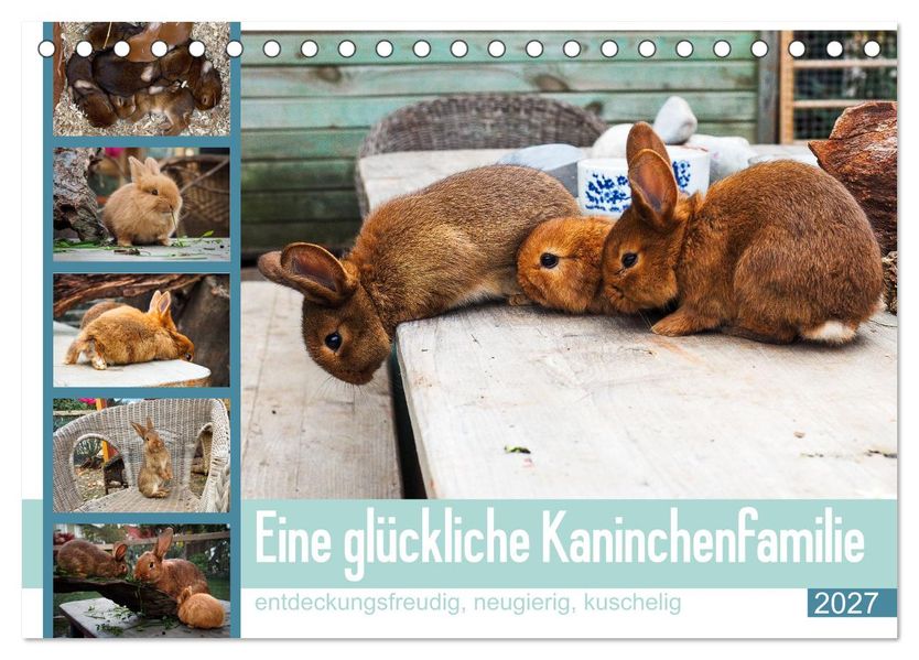 Eine glückliche Kaninchenfamilie (Tischkalender 2027 DIN A5 quer) CALVENDO Monatskalender