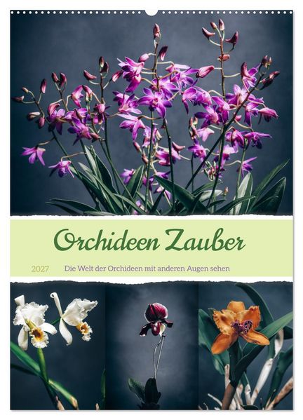 Orchideen Zauber (Wandkalender 2027 DIN A2 hoch) CALVENDO Monatskalender