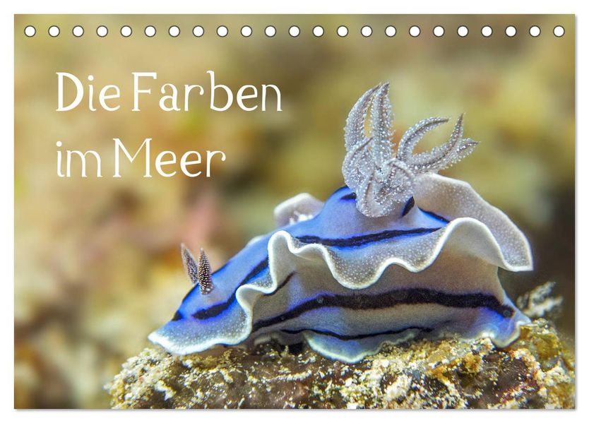 Die Farben im Meer (Tischkalender 2027 DIN A5 quer) CALVENDO Monatskalender