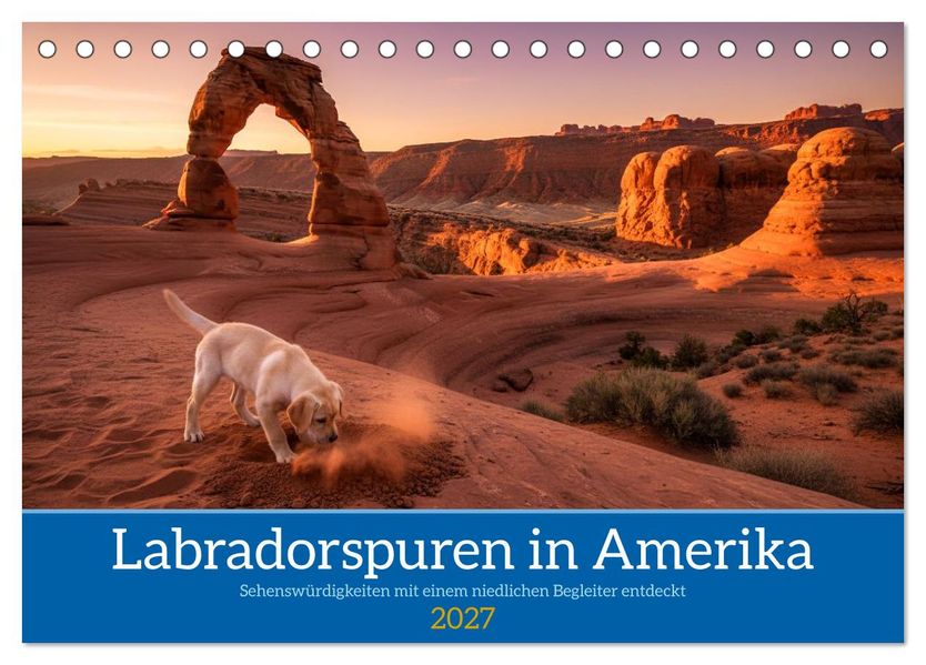 Labradorspuren in Amerika (Tischkalender 2027 DIN A5 quer) CALVENDO Monatskalender