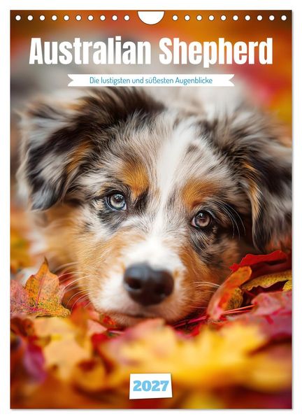 Australian Shepherd (Wandkalender 2027 DIN A4 hoch) CALVENDO Monatskalender