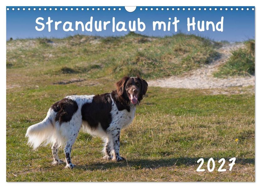 Strandurlaub mit Hund (Wandkalender 2027 DIN A3 quer) CALVENDO Monatskalender