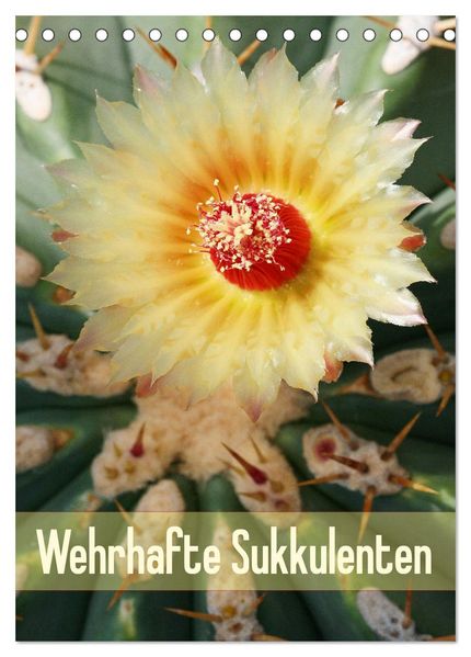 Wehrhafte Sukkulenten (Tischkalender 2027 DIN A5 hoch) CALVENDO Monatskalender