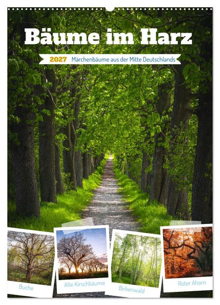 Bäume im Harz (Wandkalender 2027 DIN A2 hoch) CALVENDO Monatskalender
