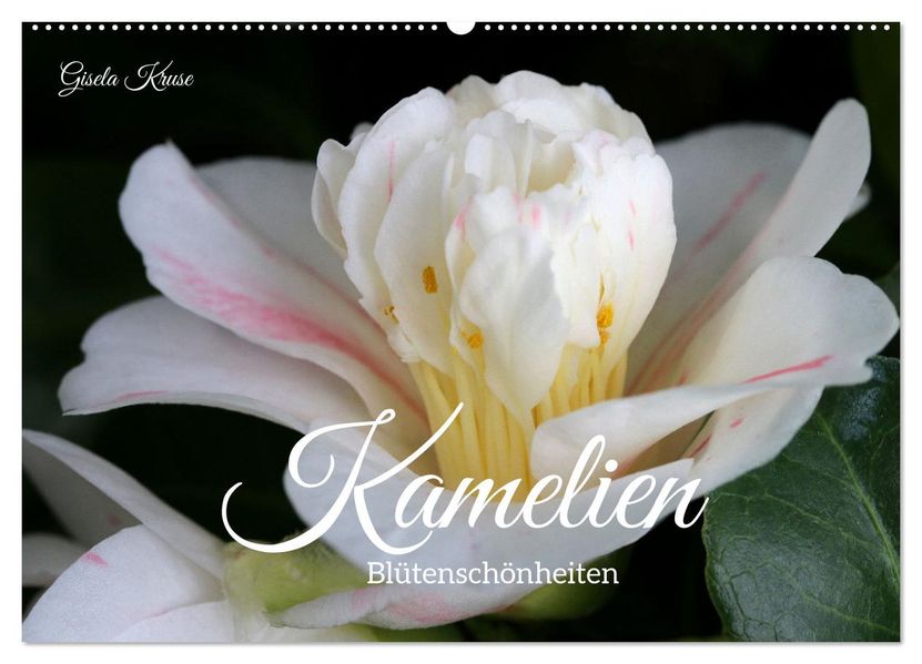 Kamelien - Blütenschönheiten (Wandkalender 2027 DIN A2 quer) CALVENDO Monatskalender