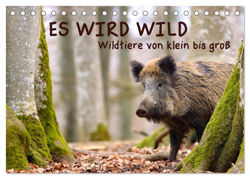 ES WIRD WILD Wildtiere von klein bis groß (Tischkalender 2027 DIN A5 quer) CALVENDO Monatskalender