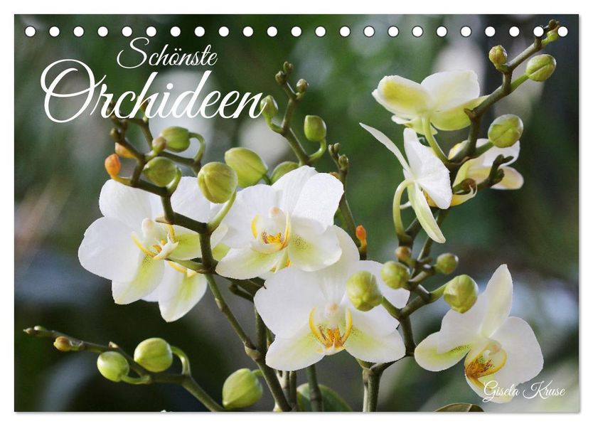 Schönste Orchideen (Tischkalender 2027 DIN A5 quer) CALVENDO Monatskalender