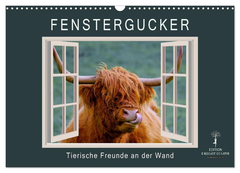 Fenstergucker - tierische Freunde an der Wand (Wandkalender 2027 DIN A3 quer) CALVENDO Monatskalender