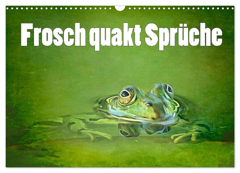 Frosch quakt Sprüche (Wandkalender 2027 DIN A3 quer) CALVENDO Monatskalender