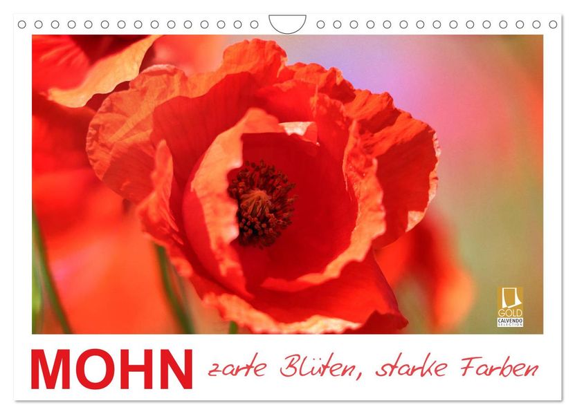 Mohn zarte Blüten starke Farben (Wandkalender 2027 DIN A4 quer) CALVENDO Monatskalender