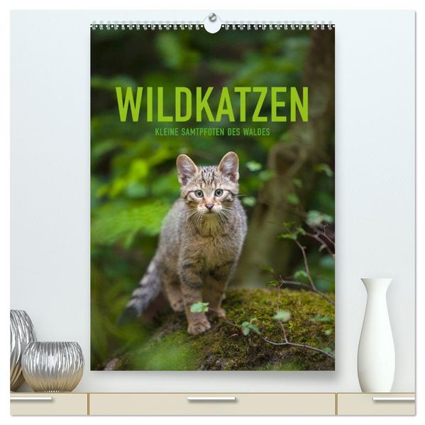 Wildkatzen - Kleine Samtpfoten des Waldes (hochwertiger Premium Wandkalender 2027 DIN A2 hoch) Kunstdruck in Hochglanz