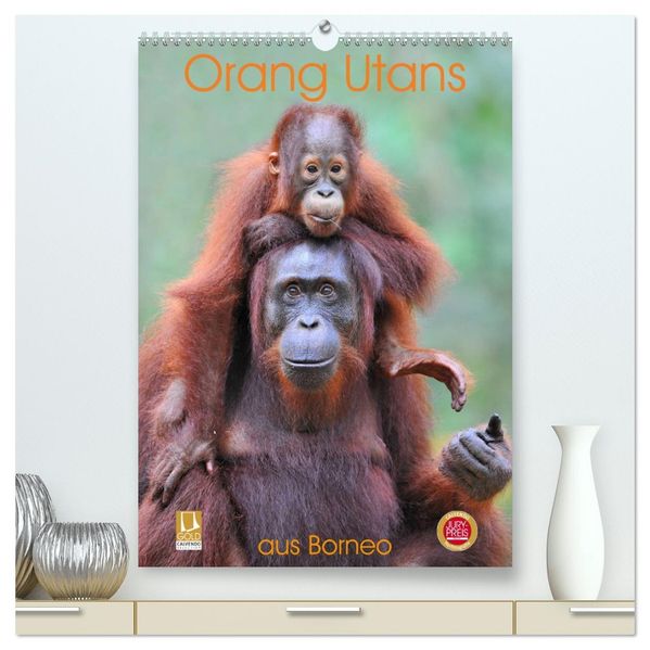Orang Utans aus Borneo (hochwertiger Premium Wandkalender 2027 DIN A2 hoch) Kunstdruck in Hochglanz