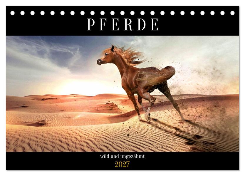 Pferde - wild und ungezähmt (Tischkalender 2027 DIN A5 quer) CALVENDO Monatskalender