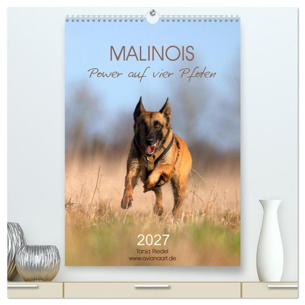 Malinois Power auf vier Pfoten (hochwertiger Premium Wandkalender 2027 DIN A2 hoch) Kunstdruck in Hochglanz