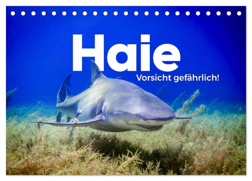 Haie - Vorsicht gefährlich! (Tischkalender 2027 DIN A5 quer) CALVENDO Monatskalender