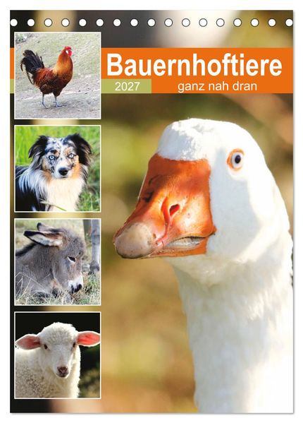 Bauernhoftiere ganz nah dran (Tischkalender 2027 DIN A5 hoch) CALVENDO Monatskalender