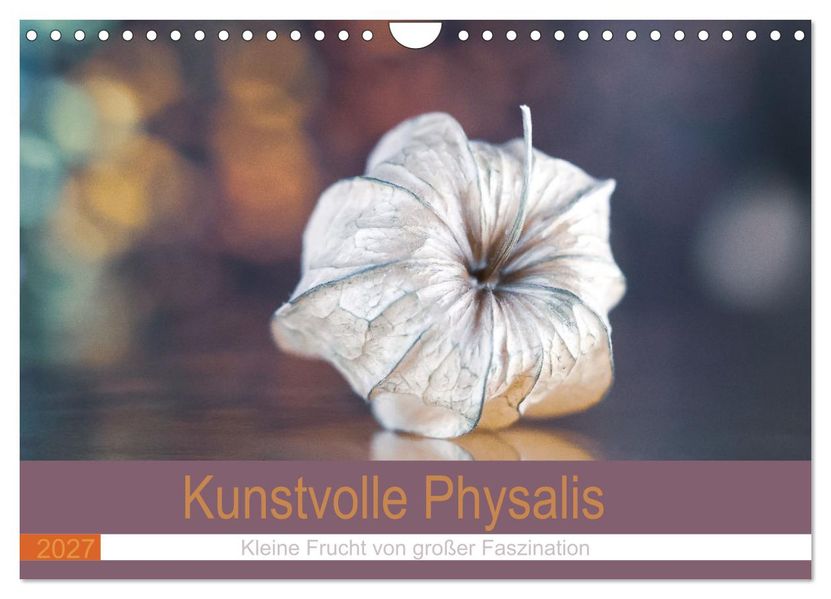 Kunstvolle Physalis-Kleine Frucht von großer Faszination (Wandkalender 2027 DIN A4 quer) CALVENDO Monatskalender