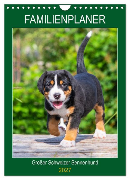 Familienplaner Großer Schweizer Sennenhund (Wandkalender 2027 DIN A4 hoch) CALVENDO Monatskalender