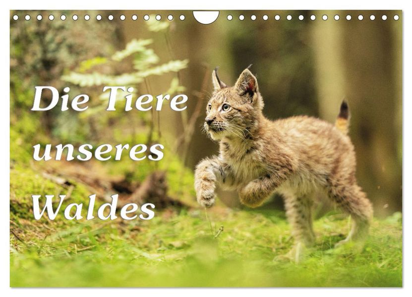 Die Tiere unseres Waldes (Wandkalender 2027 DIN A4 quer) CALVENDO Monatskalender