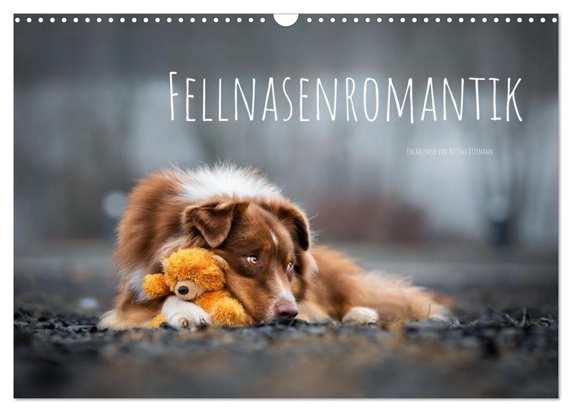 Fellnasenromantik (Wandkalender 2027 DIN A3 quer) CALVENDO Monatskalender
