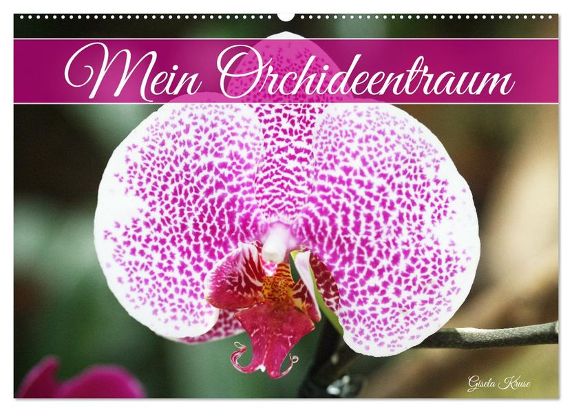 Mein Orchideentraum (Wandkalender 2027 DIN A2 quer) CALVENDO Monatskalender