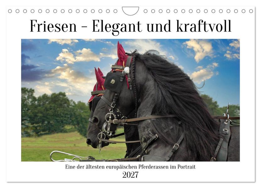 Friesen - elegant und kraftvoll (Wandkalender 2027 DIN A4 quer) CALVENDO Monatskalender
