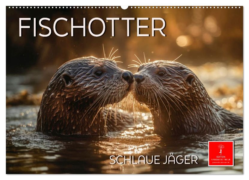 Fischotter - schlaue Jäger (Wandkalender 2027 DIN A2 quer) CALVENDO Monatskalender