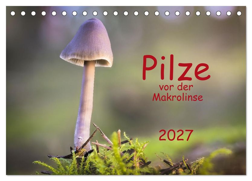 Pilze vor der Makrolinse 2027 (Tischkalender 2027 DIN A5 quer) CALVENDO Monatskalender
