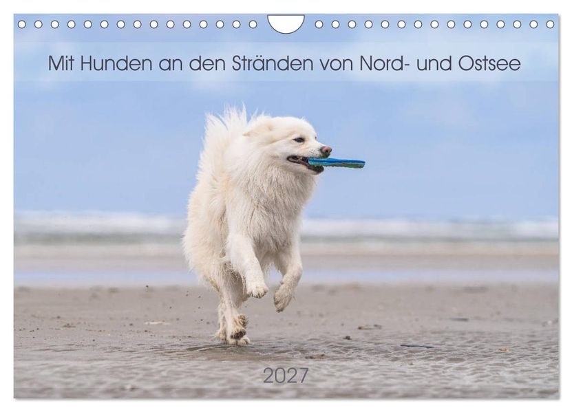 Mit Hunden an den Stränden von Nord- und Ostsee (Wandkalender 2027 DIN A4 quer) CALVENDO Monatskalender