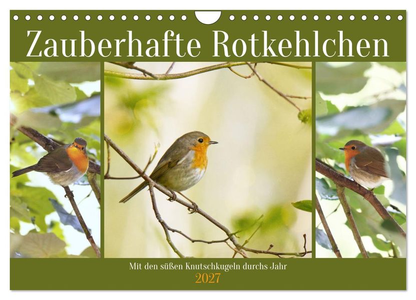Zauberhafte Rotkehlchen (Wandkalender 2027 DIN A4 quer) CALVENDO Monatskalender