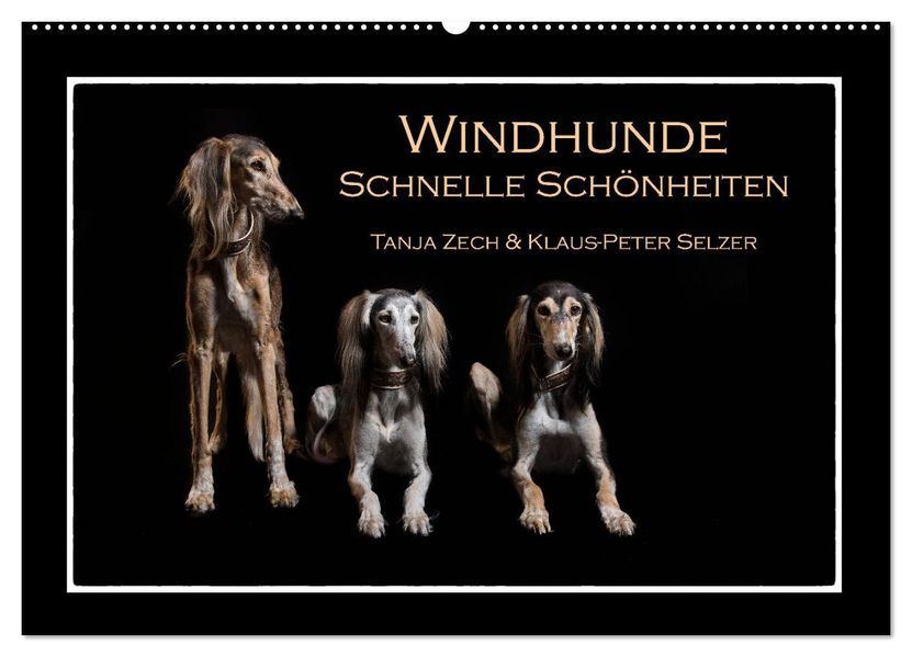 Windhunde - Schnelle Schönheiten (Wandkalender 2027 DIN A2 quer) CALVENDO Monatskalender