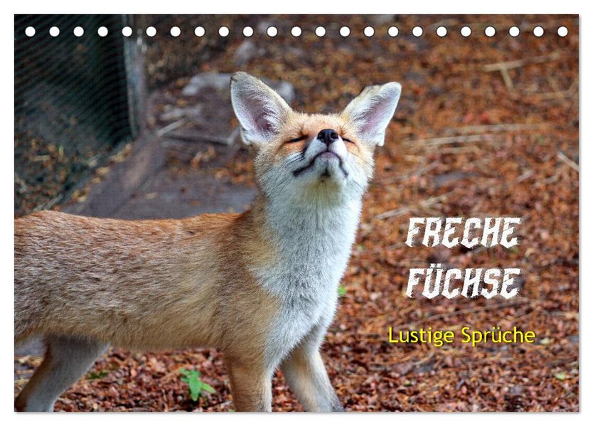 Freche Füchse - lustige Sprüche (Tischkalender 2027 DIN A5 quer) CALVENDO Monatskalender