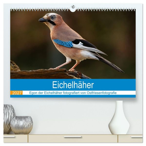 Eichelhäher - Egon der Eichelhäher fotografiert von Ostfriesenfotografie (hochwertiger Premium Wandkalender 2027 DIN A2 quer) Kunstdruck in Hochglanz