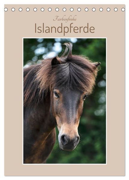 Farbenfrohe Islandpferde (Tischkalender 2027 DIN A5 hoch) CALVENDO Monatskalender
