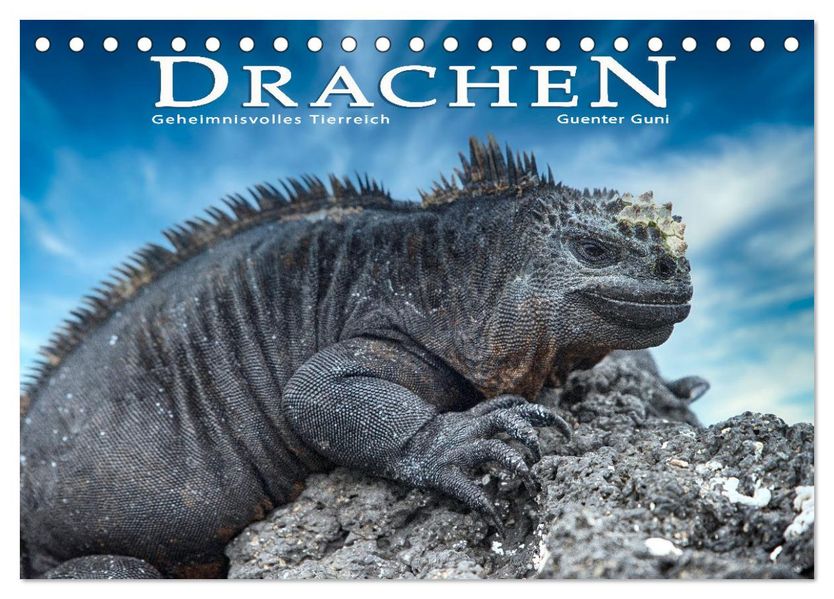 Drachen: Geheimnisvolles Tierreich (Tischkalender 2027 DIN A5 quer) CALVENDO Monatskalender