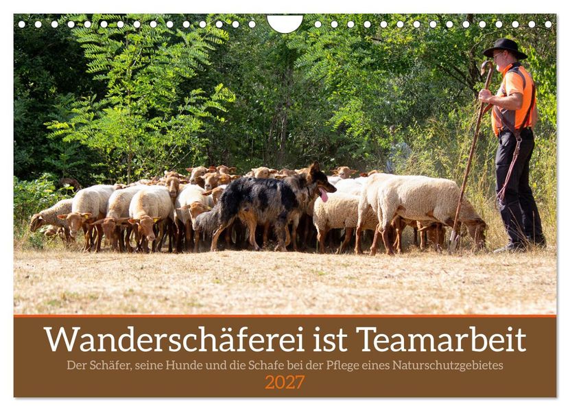 Wanderschäferei ist Teamarbeit (Wandkalender 2027 DIN A4 quer) CALVENDO Monatskalender