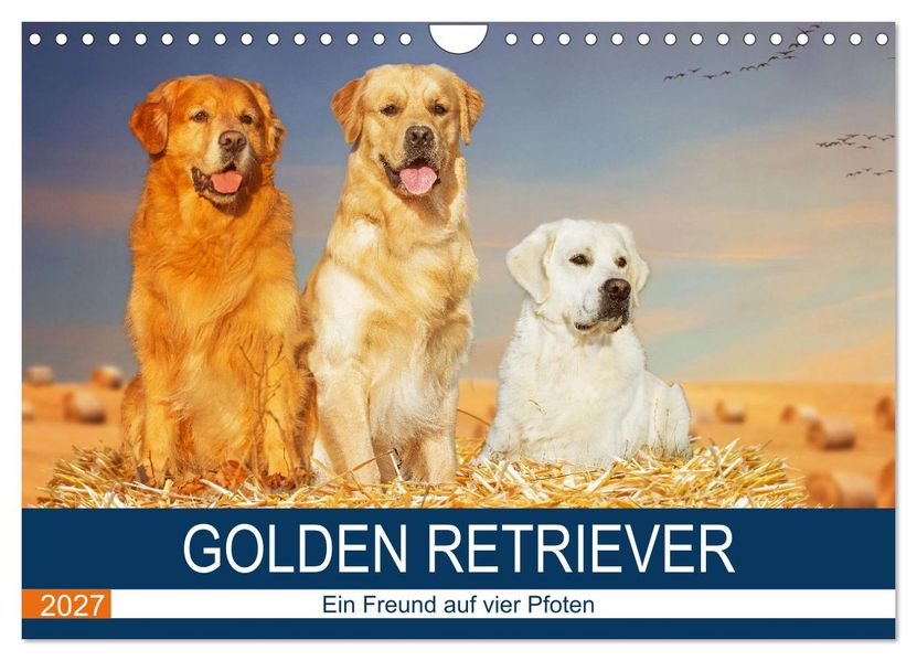 Golden Retriever - Ein Freund auf vier Pfoten (Wandkalender 2027 DIN A4 quer) CALVENDO Monatskalender