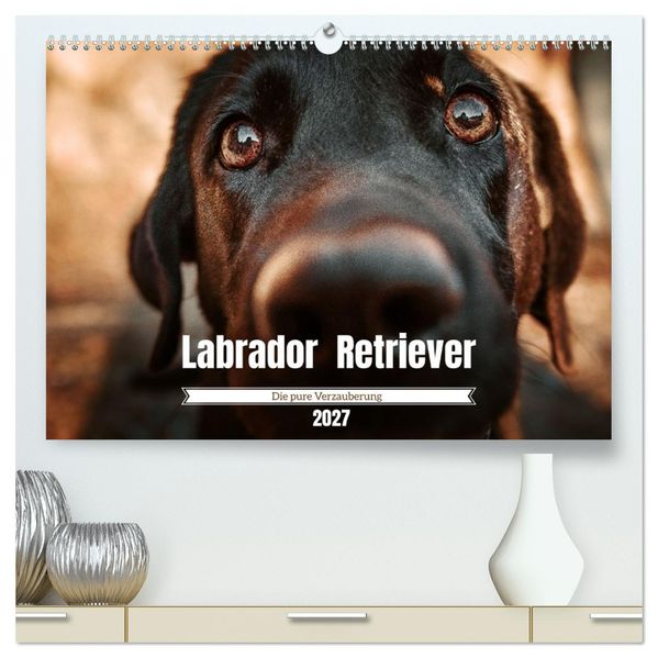 Verzauberung Labrador Retriever 2027 (hochwertiger Premium Wandkalender 2027 DIN A2 quer) Kunstdruck in Hochglanz
