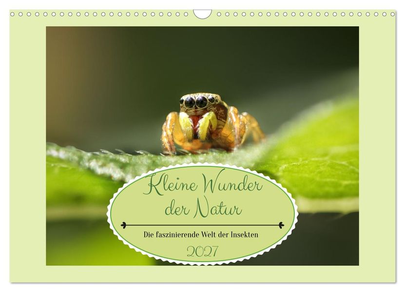 Die faszinierende Welt der Insekten (Wandkalender 2027 DIN A3 quer) CALVENDO Monatskalender