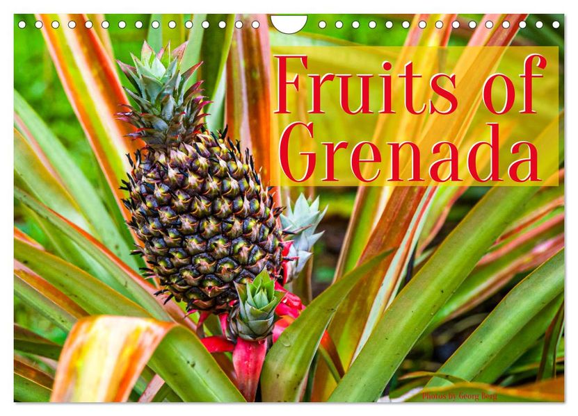 Fruits of Grenada (Wall Calendar 2027 DIN A4 landscape) CALVENDO 12 Month Wall Calendar