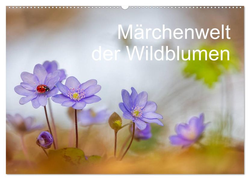Märchenwelt der Wildblumen (Wandkalender 2027 DIN A2 quer) CALVENDO Monatskalender